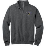 Delaware Jr. Blue Hens NuBlend 1/4-Zip Cadet Collar Sweatshirt
