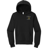 Delaware Jr. Blue Hens Youth Sponge Fleece Pullover Hoodie