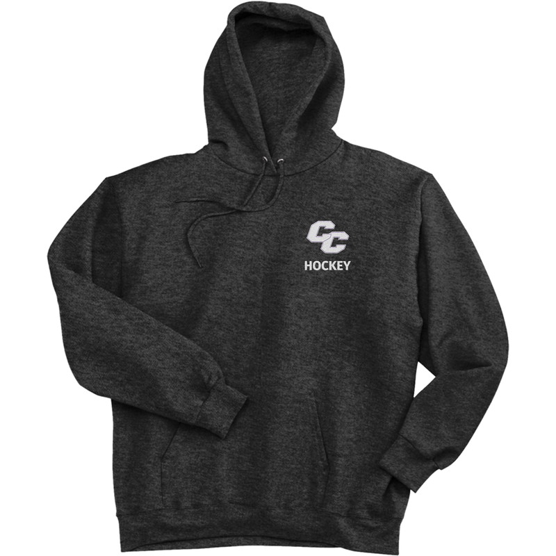 Curry College Ultimate Cotton - Pullover Hooded Sweatshirt