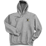 Delaware Jr. Blue Hens Ultimate Cotton - Pullover Hooded Sweatshirt