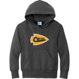 Chelsea Chiefs Youth Core Fleece Pullover Hooded Sweatshirt